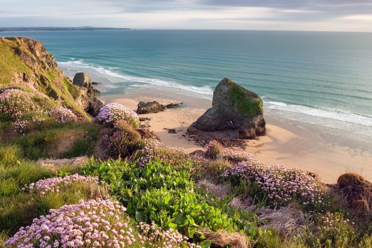 Community Grants & Funding