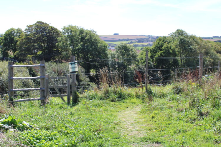 Polwhele Permaculture Garden