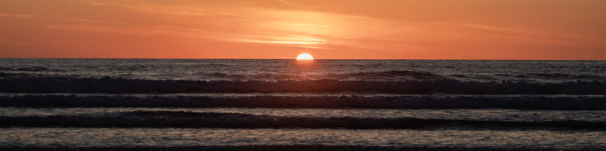 Contact Us at Newquay Town Council